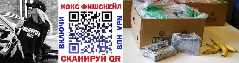 Кокаин Fish Scale  Купить где  Нестеров 