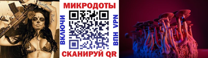 Псилоцибиновые грибы Cubensis  Купить закладки  Нестеров 
