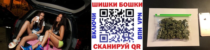 Купить  Нестеров  Бошки марихуана SATIVA & INDICA 